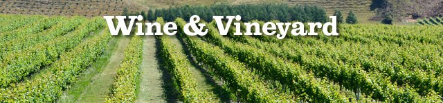 Real Estate Contents - Wine and Vineyard