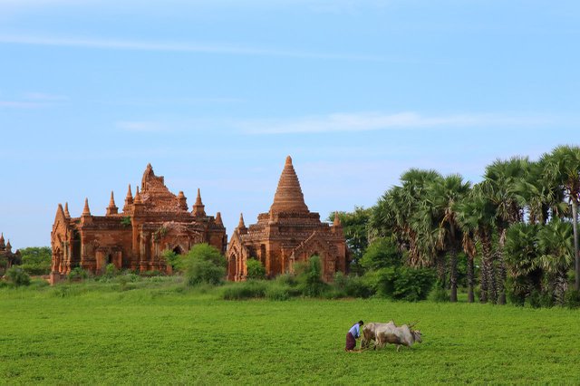 Pearsall_Myanmar_Bagan_Temples-near-Kyat-Khayon-Cave-Monastery_IMG_6021.jpg
