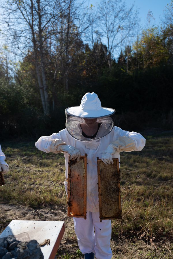 beekeeping-valiving-16.jpg