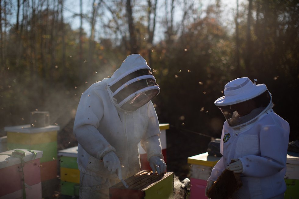 beekeeping-valiving-138.jpg