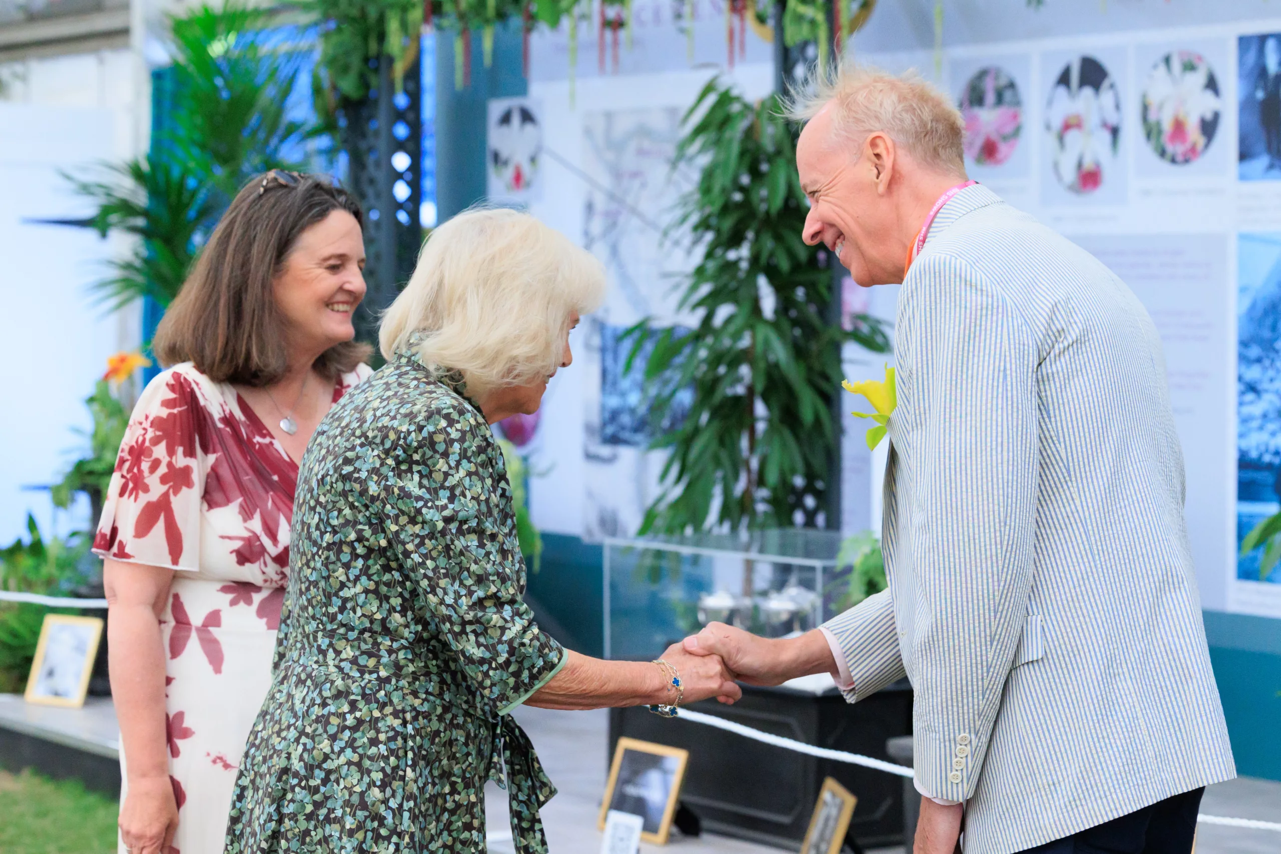 Virginia Orchid Grower Blooms at Chelsea