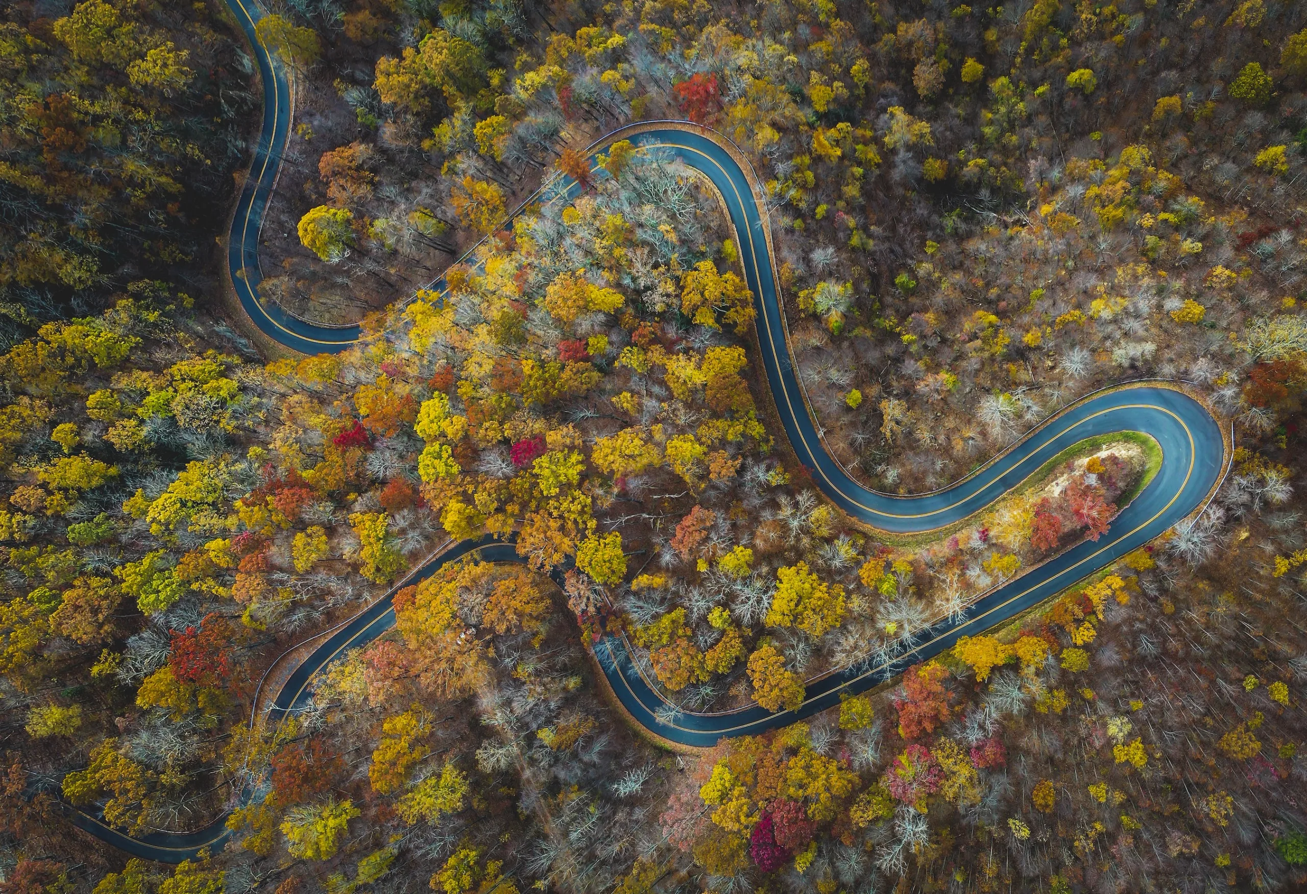 Ways to Experience Beautiful Fall Foliage in Virginia